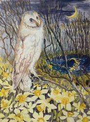 Owl
